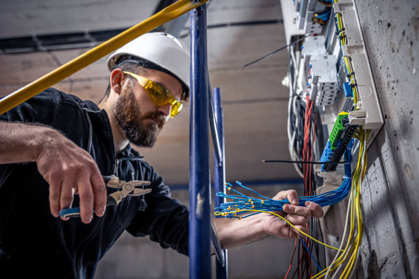 Best Electric Panel Repair  in Eagleview, PA